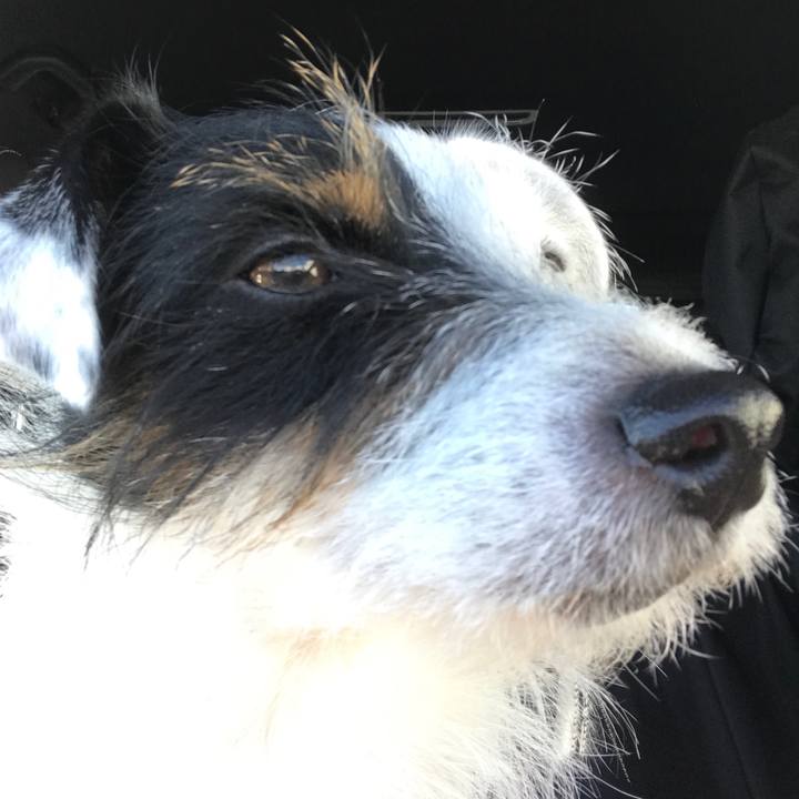 00f3c03e 9360 4535 9b5e 2465c1b23ce0