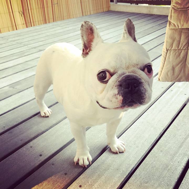 00f3d0eb d7c2 4aab 9021 5a4d9b3d5922