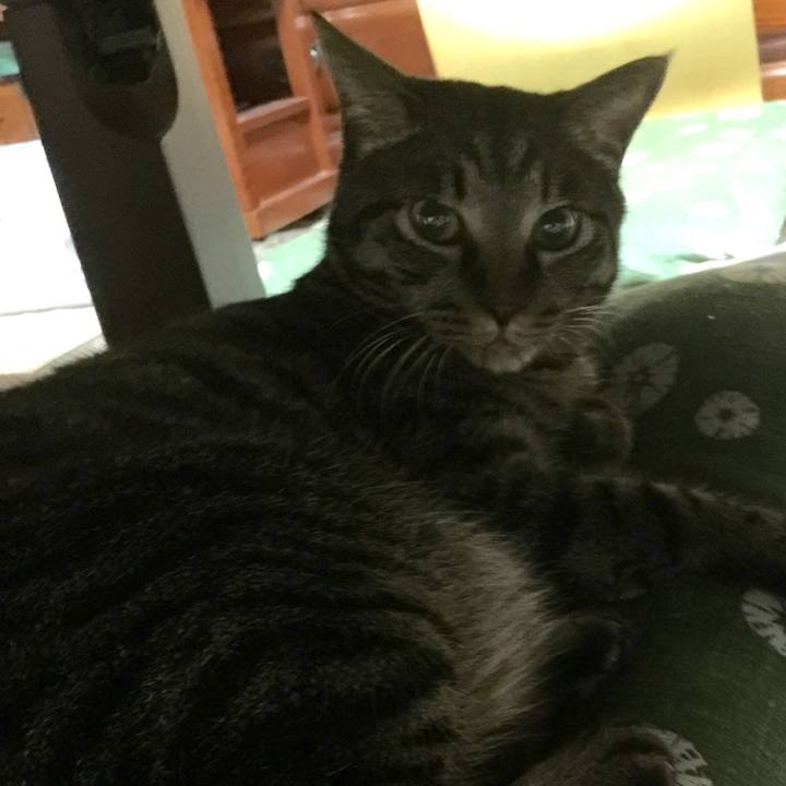 00f42985 6210 4d52 a315 fe49cae2b118