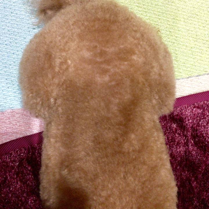 00f4704b ed9e 45a5 ad89 d1a604f1db9a