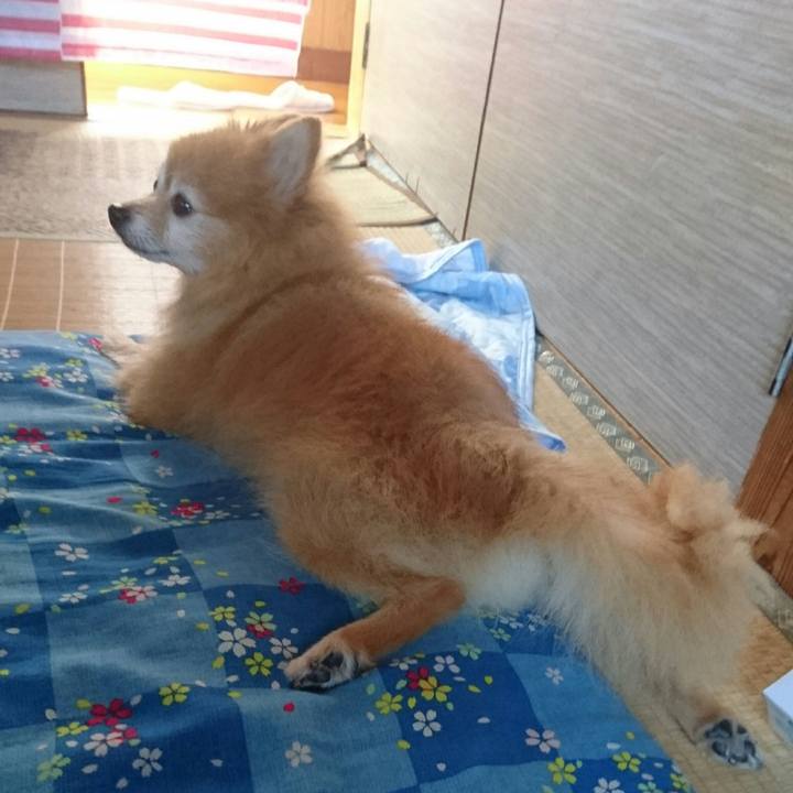 00f48d42 229d 4957 b956 5439269aee26