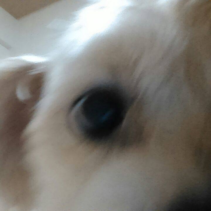 00f4a468 c872 4959 9031 39883d012104