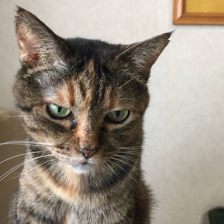 00f61b96 9732 4f37 ad18 455e884a3928