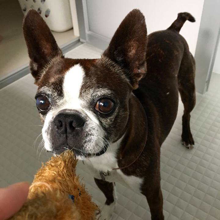 00f64642 659f 4bdf a406 baa0f5b20042