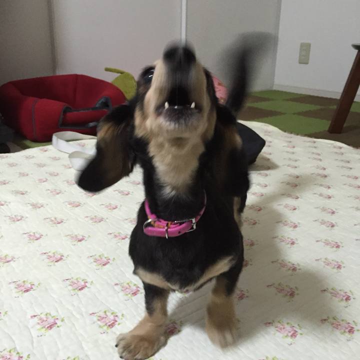 00f66cdc 7aaf 4320 8175 f3ee69f0aedd