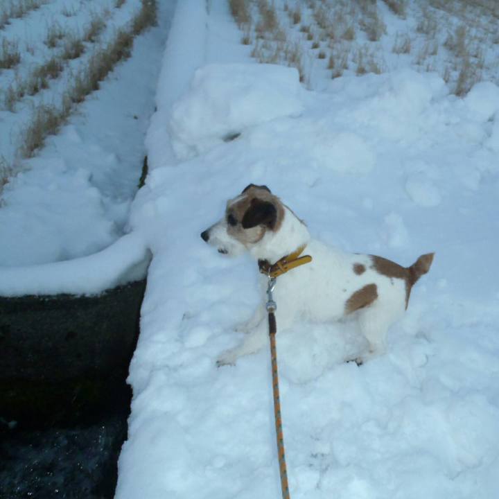 00f6d959 7da6 4c95 93bc 5709dac48037