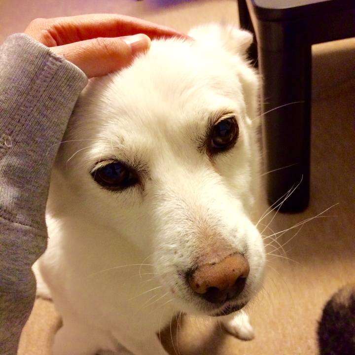 00f6e0ec 2860 4f22 ab45 494463c545aa