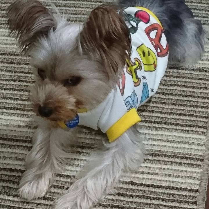 00f6f50d 66b0 4f5c b571 29376d8cfc6c