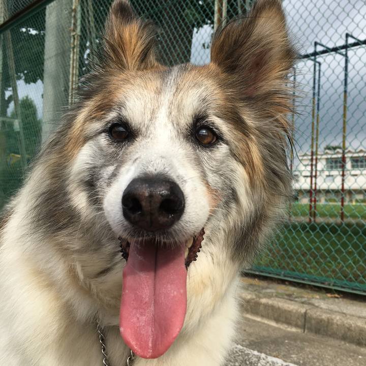 00f77eba 59f7 4a45 81ef bc796163688e