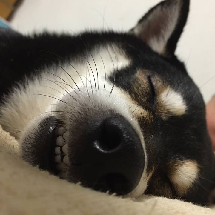 00f7ab77 f2e3 4b29 a8c1 fb9d8cb57f18