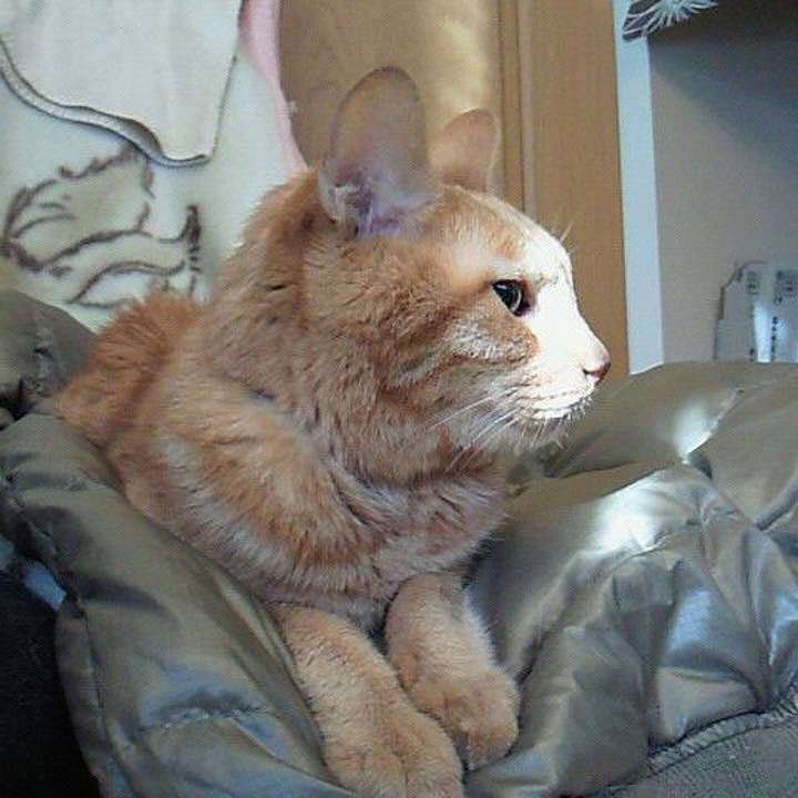 00f7d4c9 3c62 44d3 93ad 9f89aa8f697d