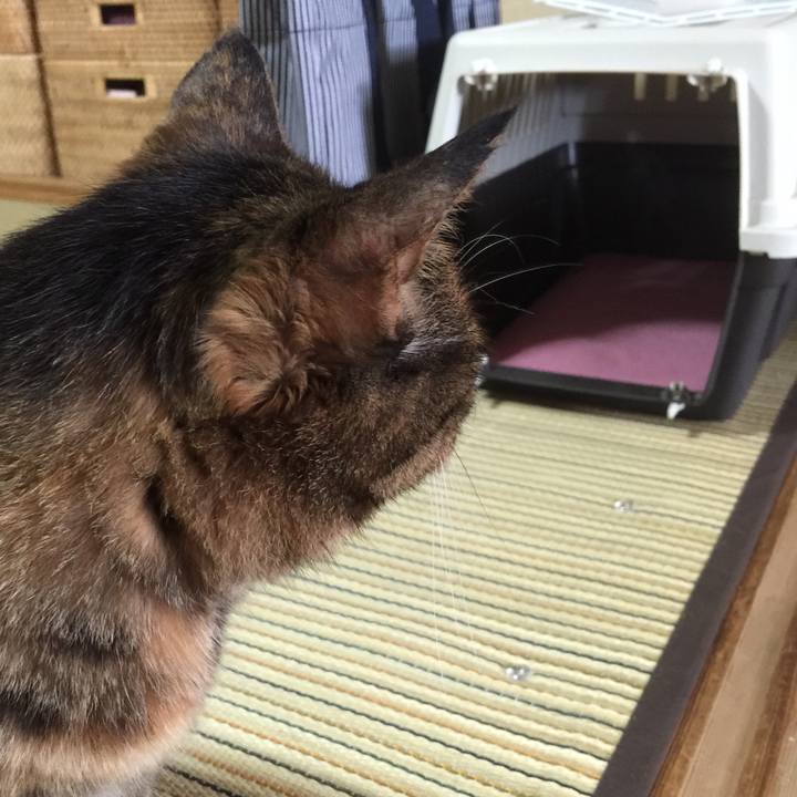 00f8a37c 1a06 412b 99c9 17572e825051