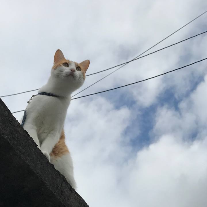 00f92511 5d8e 4e1d a2e5 720f9bdfd15f