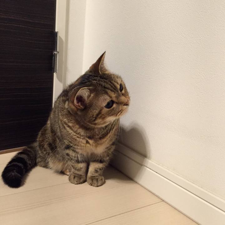 00f99a64 81b3 440e ab76 798f718c4a76