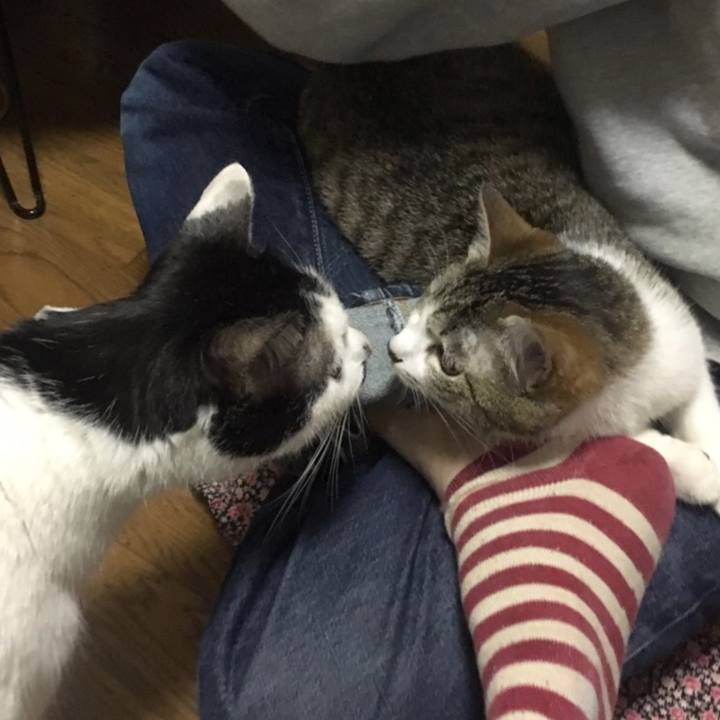 00f9c6ac 53c9 4b97 bc0f 98956858ec33