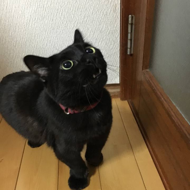 00fa3ef8 27c2 4ba4 aaa4 503bff93ed77