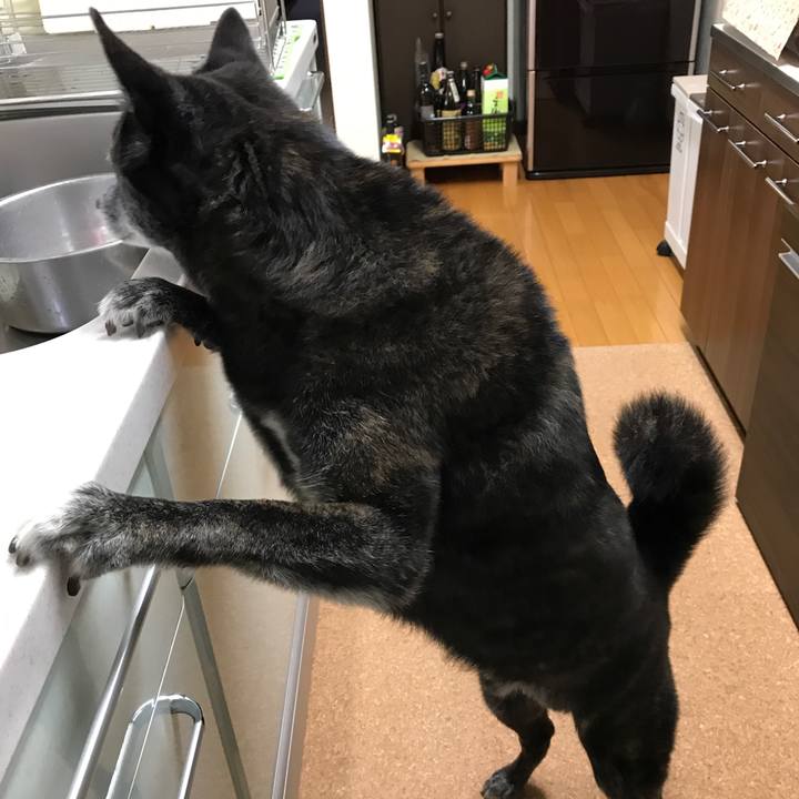 00faa765 903e 4076 873e 0b8e75c2da49