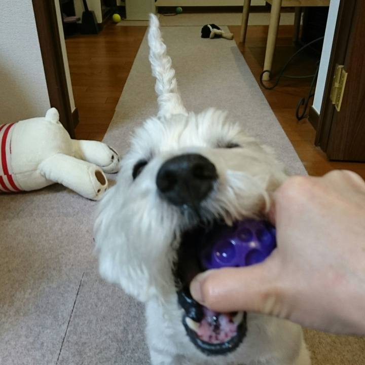 00fb8528 33f2 4e07 a3f0 4da66e622322