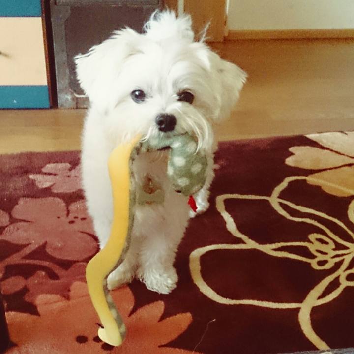 00fb85de dae3 45c2 98cc c8d3f177082e