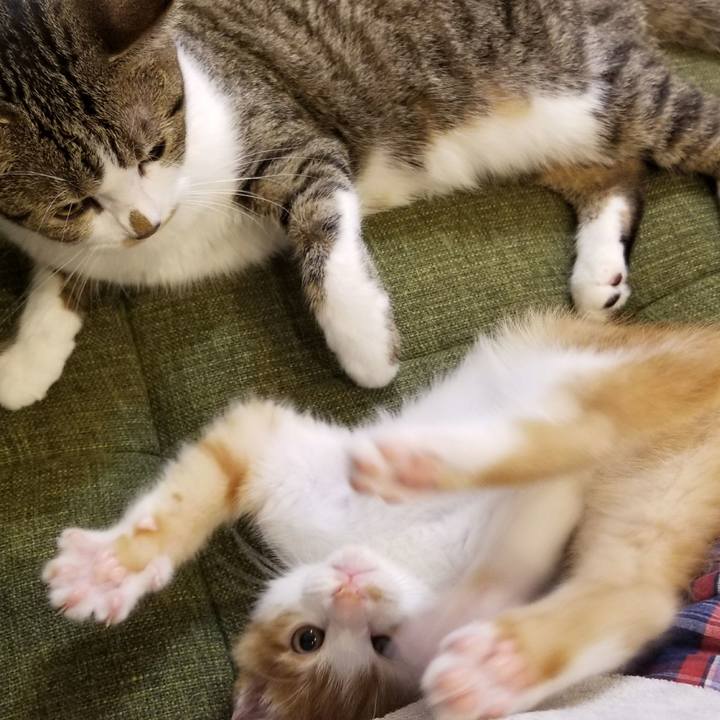 00fbac32 05ea 4234 b9e4 dbf58f2efaca