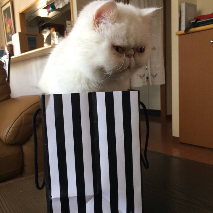 00fc3c8f d7a9 44dc 8153 8ea1c913f414