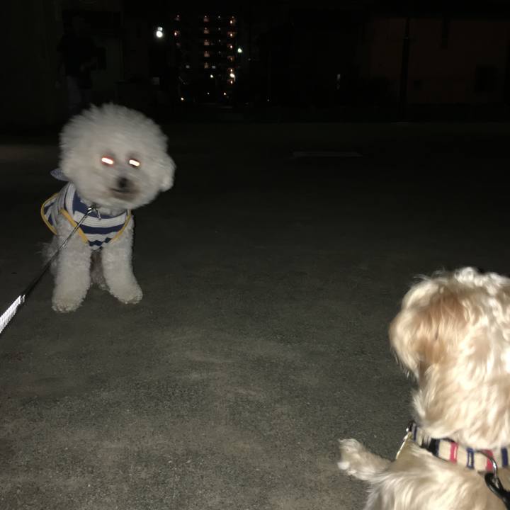 00fc43e1 8ace 4e19 953d 6801fef16016