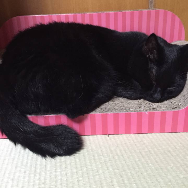 00fc8097 9a52 4bdf 92e3 2a6a6f4cffe2