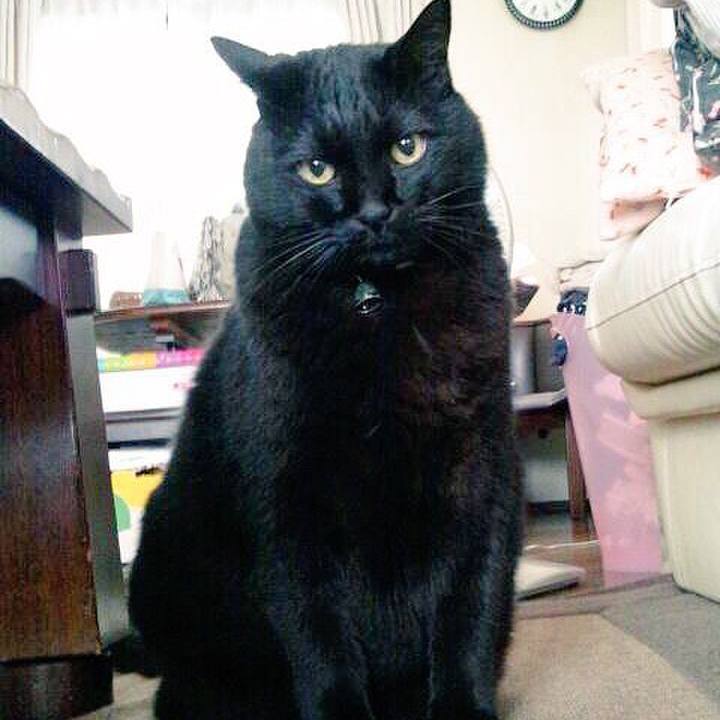 00fcb269 b96d 49a0 8bc9 16bb2bedf711