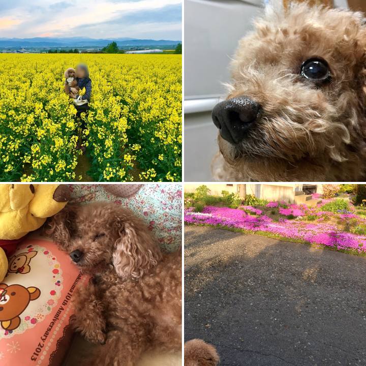 00fd1642 be9a 4d5d aa40 cbba5c9c0c1d