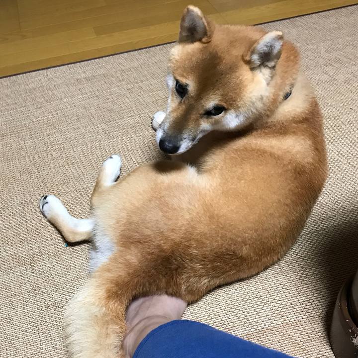 00fd67ab 8a8e 4136 a52a 8c906d05aa48