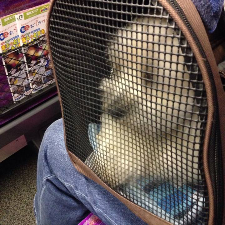 00fd7797 7440 48c3 a1b5 e5b0efcc9545