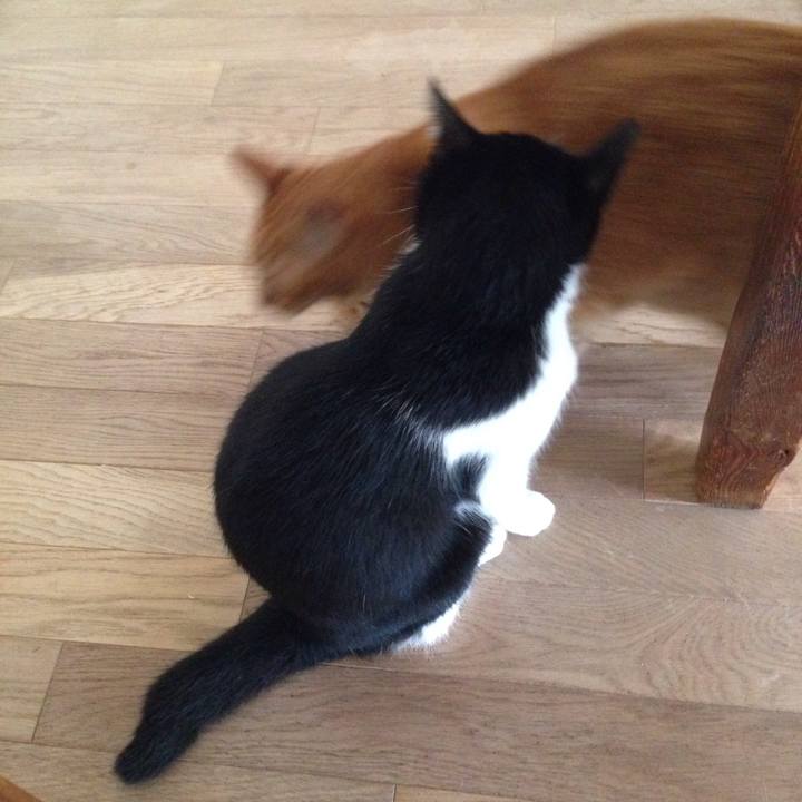 00fddc82 1204 47e8 bb89 33ebca7e7f04