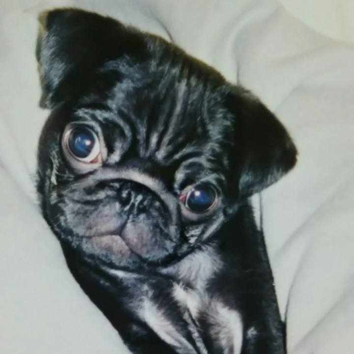 00fe0f09 ad18 42bc b221 104479be80b8