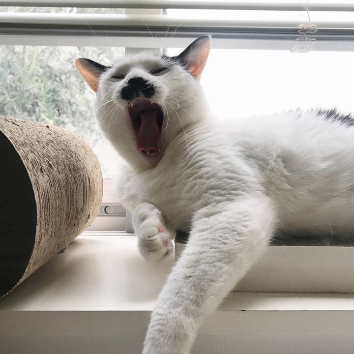 00fe1c52 beb7 4b3a a8ce d1ddf467773b