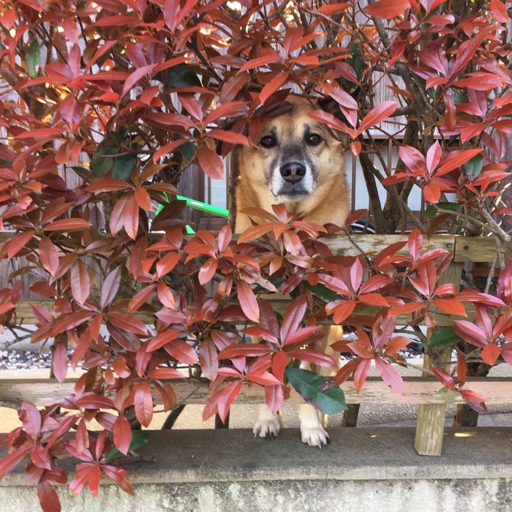 00fe5e8d 4965 4b11 a425 62e59cf52767