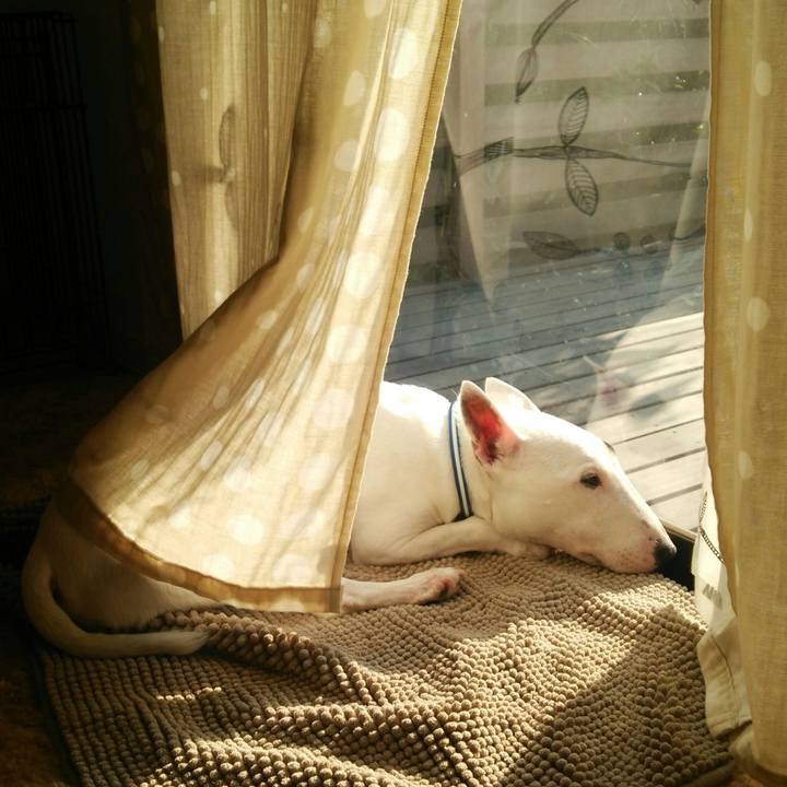 00fe9b5b ae9d 4291 a887 cb3a07b48705