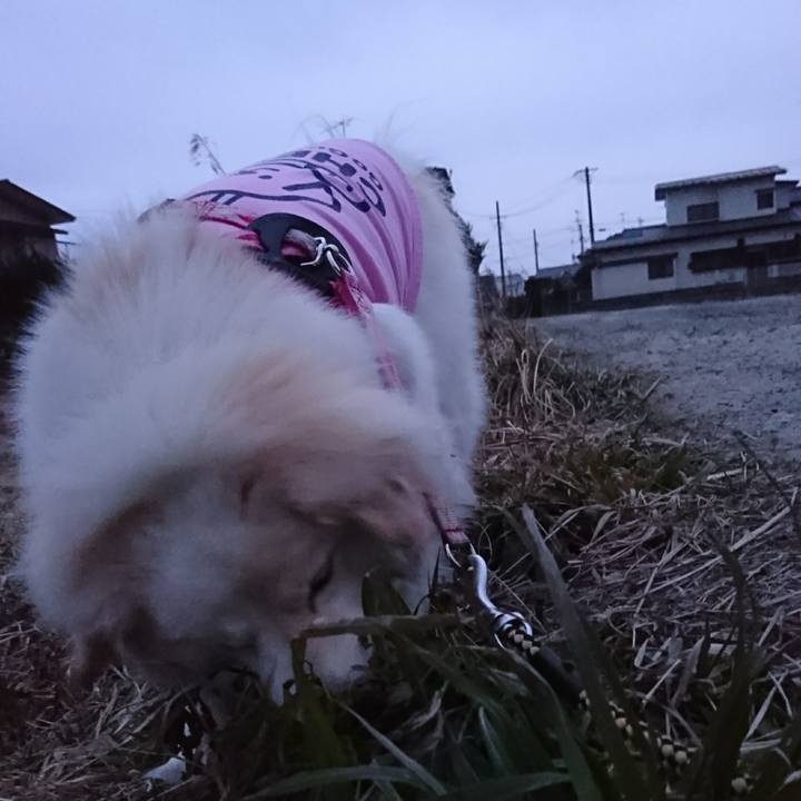 00fea83f 6e56 4729 a2bd 308432115dd4