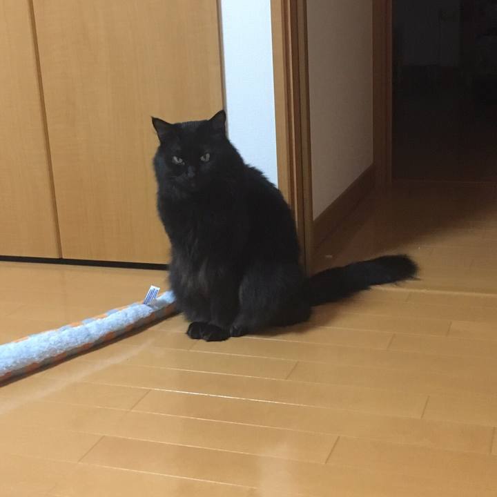 00ff153a db23 4914 8c31 44b34815771f