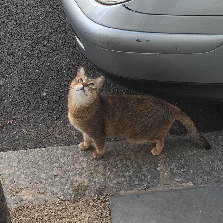 00ff3d80 160d 479d ad46 adcc9f377279