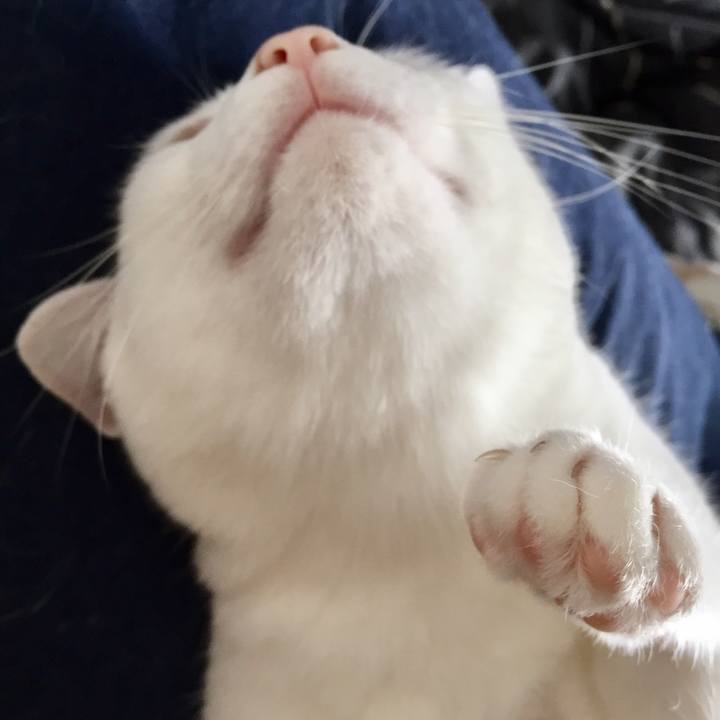 00ff479c 9257 4053 a4f5 6cc8feb7be48