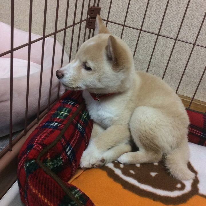 00ff508d ddf9 42ae bcdd aee35b425df8