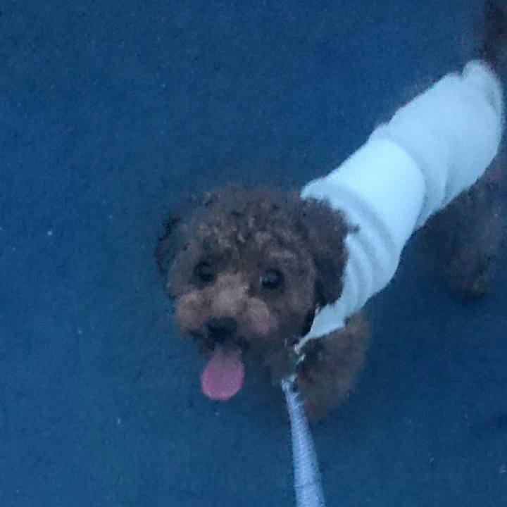 0100415e 9c6b 450c 8f6d 7ce90c458837