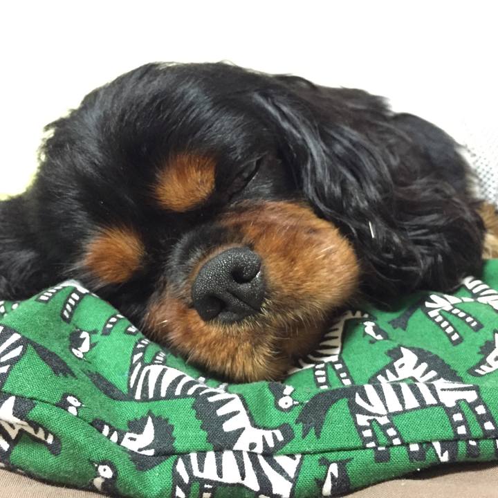 0100a674 763f 424c 8d0a 45c999fa0804