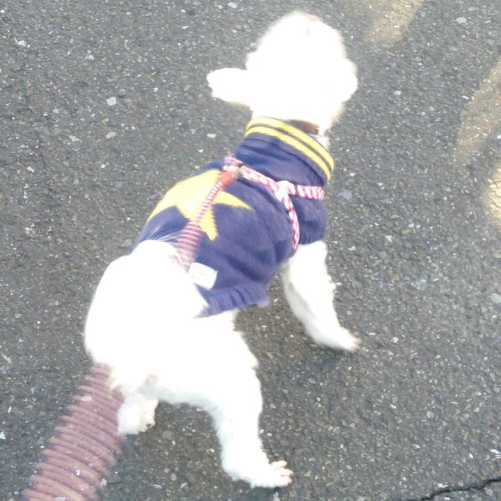 0100c1e9 d797 443b 971b 3e0c6216ba35