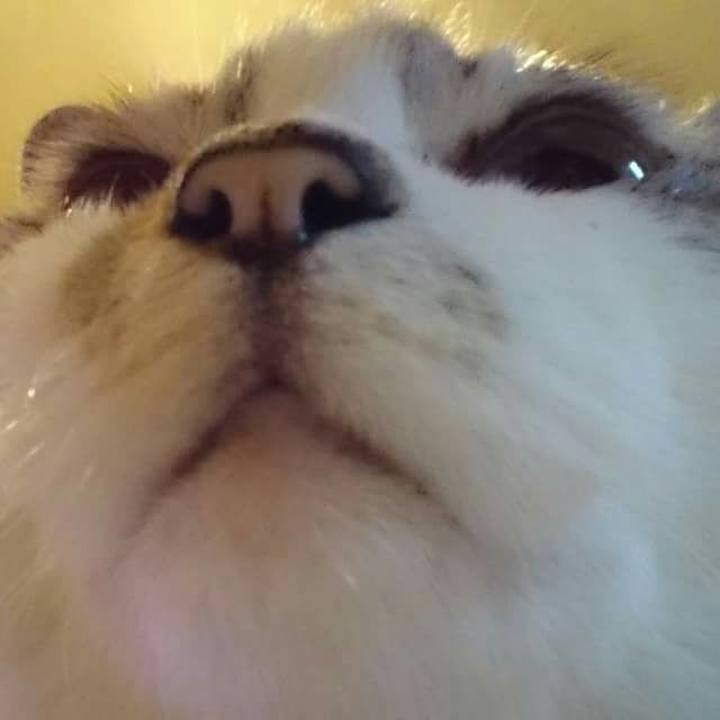 01013a22 4382 4233 aa4c 73c6b24757e1