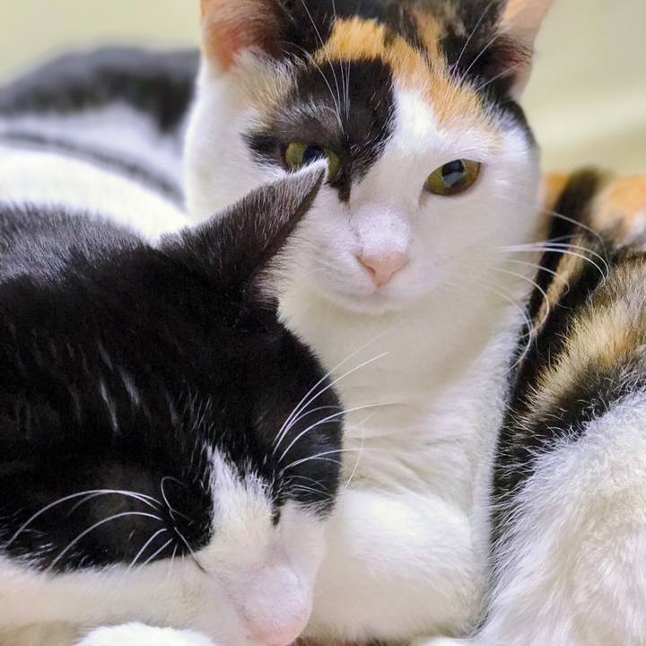 0101b098 a055 4ed9 a8f7 52faac5a6767