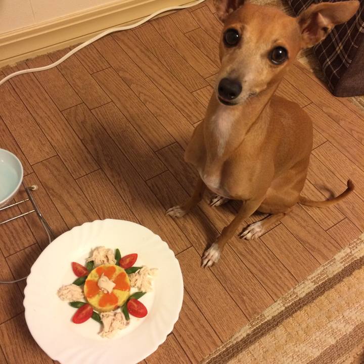 0102520f e2ec 44fd 81b1 108f84370fb1