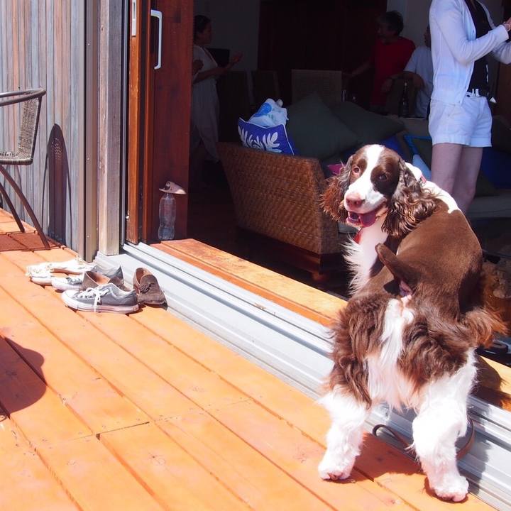 0103b62a e8a1 4f2b b19d c83839eb52bb