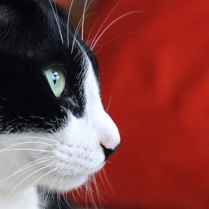 0103fe8a 1ac8 4294 8950 40c2275424cb