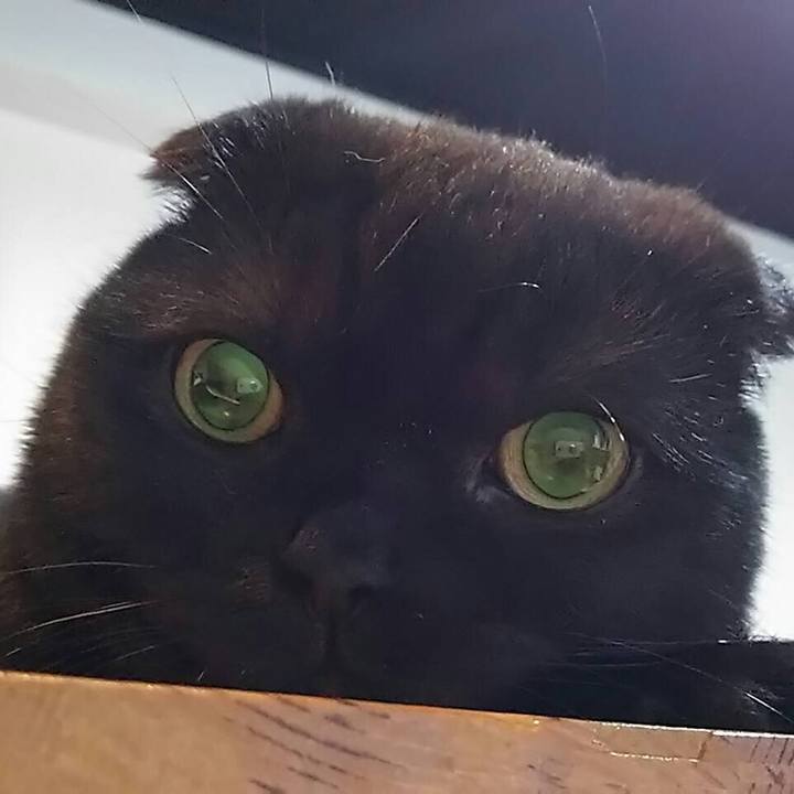 0104289c e11e 4669 b0cc db72bb8f6c17